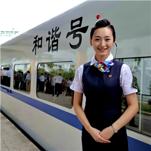 2009年京滬動車組